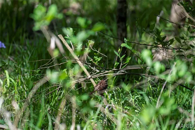 $960,000 | 0 Highway Z Vienna Mo 65582, Vienna, MO 65582