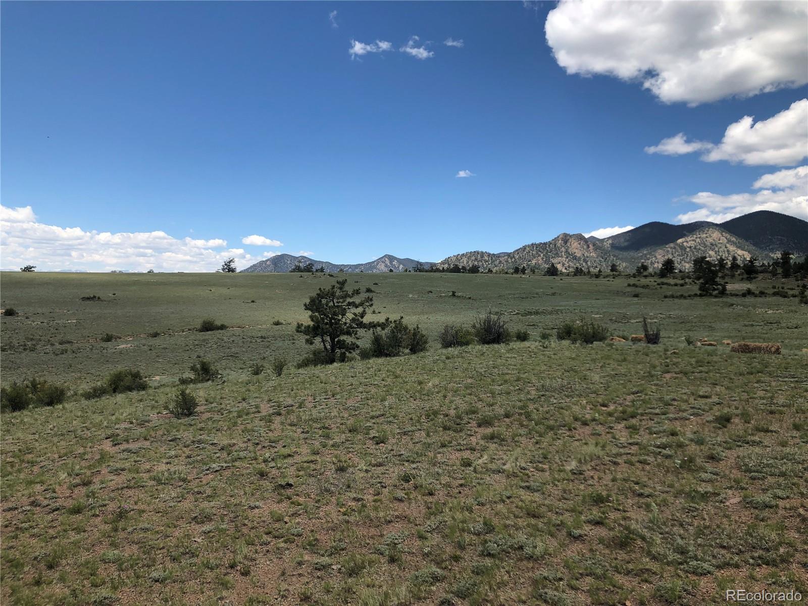 1995 Montezuma Road Lake George, CO 80827 - Photo 3 of 19