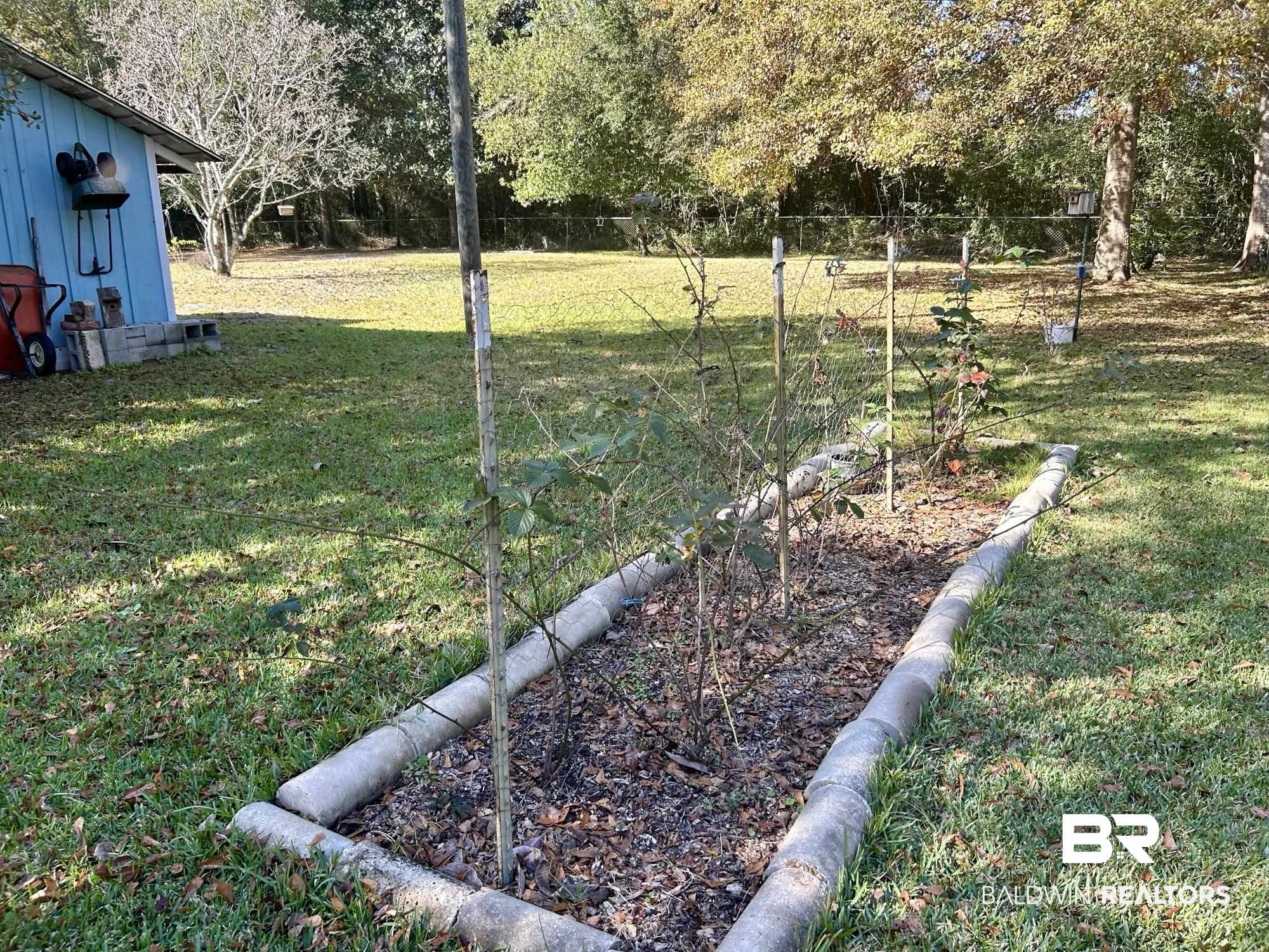 405 North Wasson Avenue Mobile, AL 36612 - Photo 23 of 26 Blackberry bushes