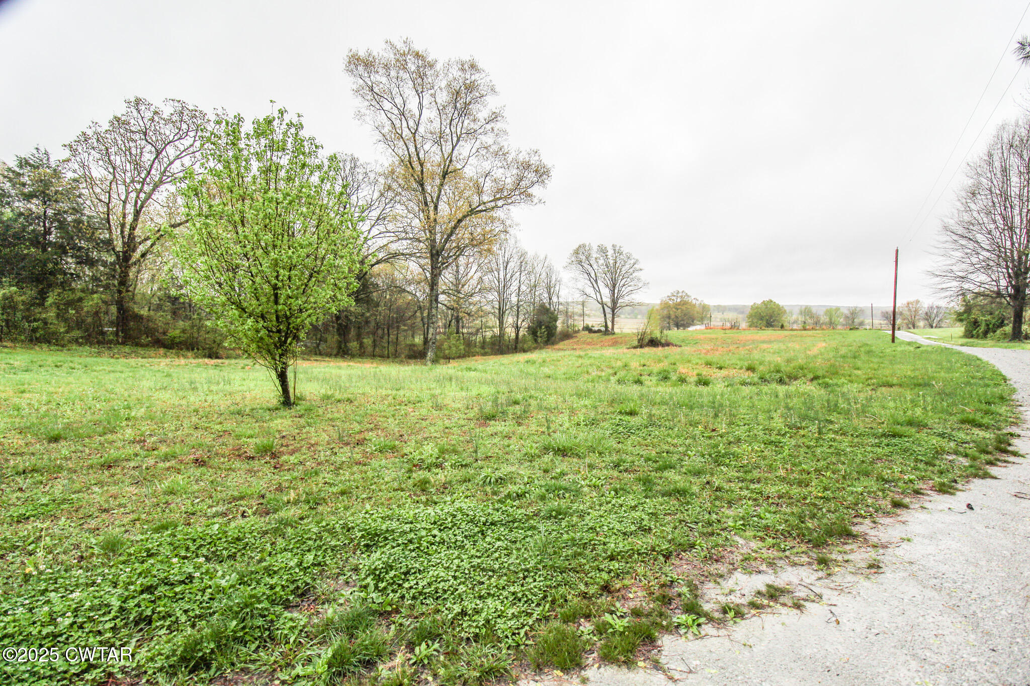 326 Fancy Road Dresden, TN 38225 - Photo 40 of 45 a view of a field with a tree