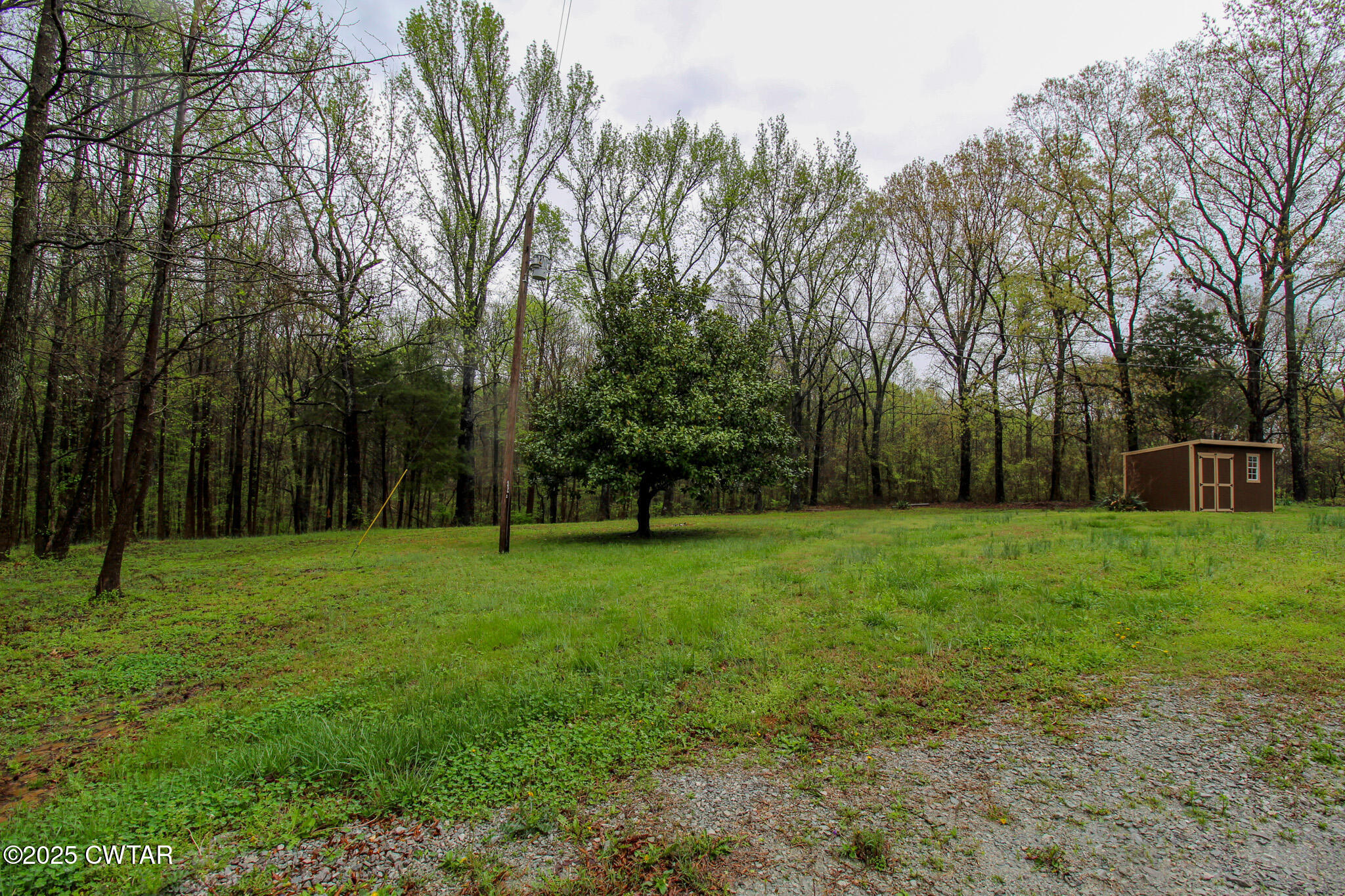 326 Fancy Road Dresden, TN 38225 - Photo 42 of 45 a view of a grassy field with trees in the background