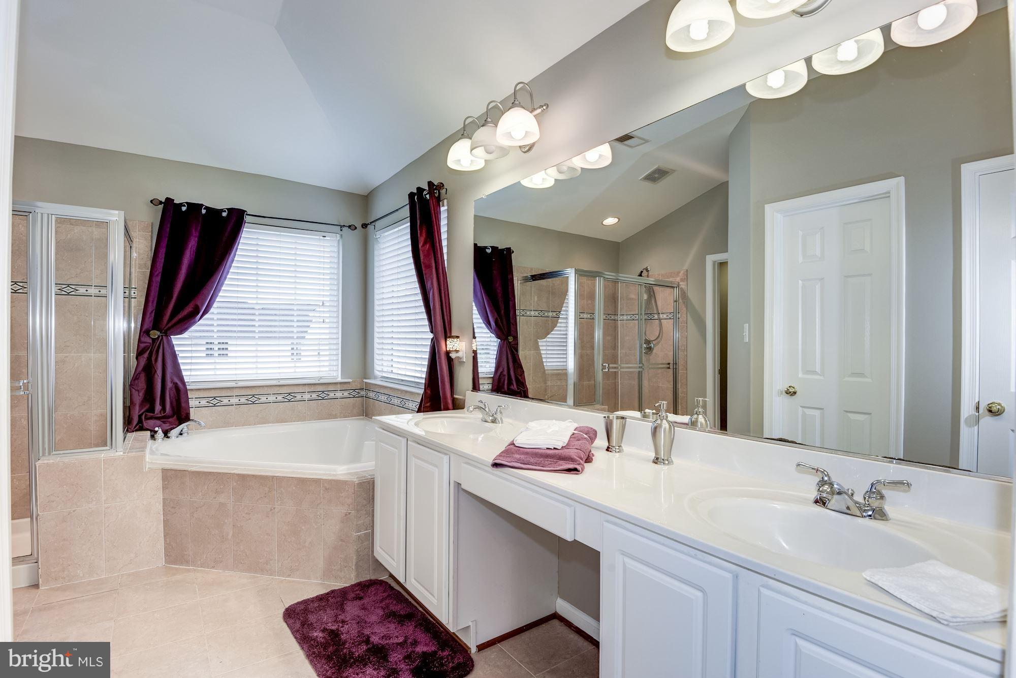 8737 Lords View Loop Gainesville, VA 20155 - Photo 22 of 30 Bath (Master)