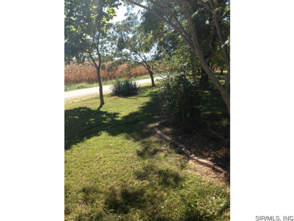 5121 Beare Grove Road Ellis Grove, IL 62241 - Photo 19 of 21