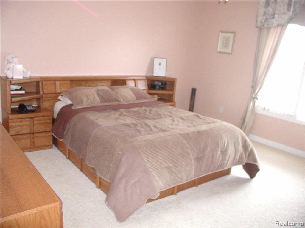 49301 Monte Road New Baltimore, MI 48047 - Photo 12 of 17 P4200087