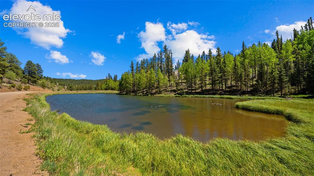 506 Ridge Road Divide, CO 80814 - Photo 40 of 50