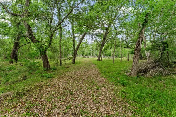 $295,000 | 0 King's Oak Drive, Damon, TX 77430