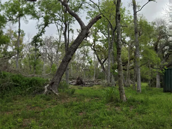 a view of outdoor space and green field
