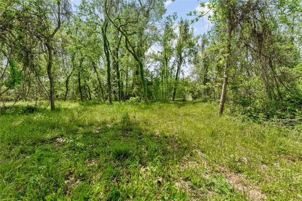 a view of outdoor space and trees