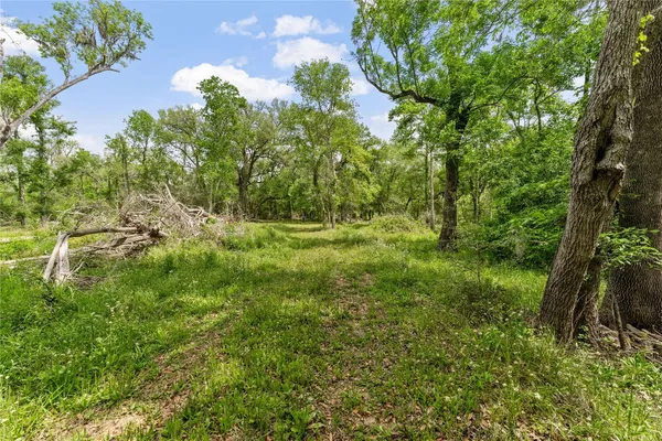a view of outdoor space and trees all around