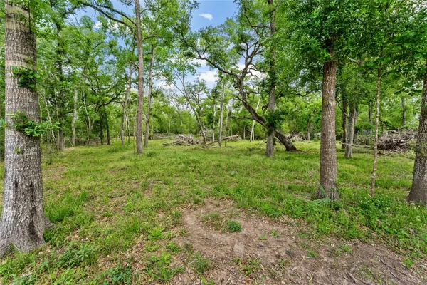 a large green field with lots of trees