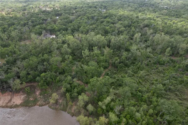 a view of a forest with a street