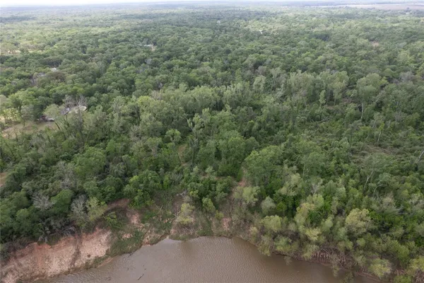 a view of a forest with a street