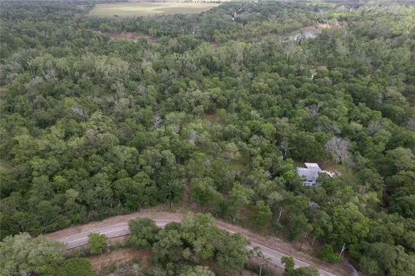 an aerial view of street and trees