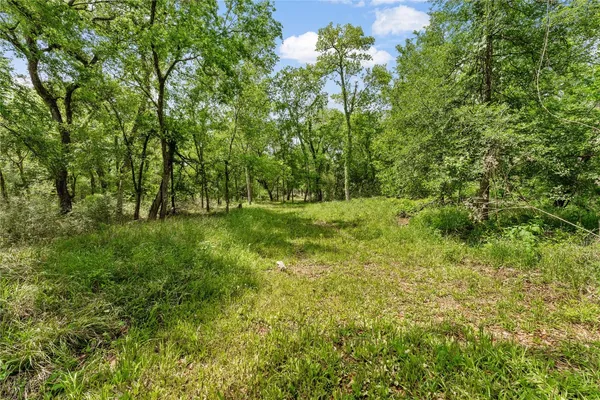 a view of outdoor space and yard