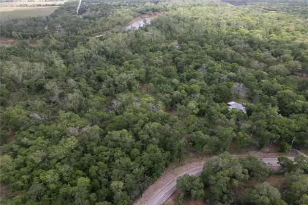a view of a forest with a street