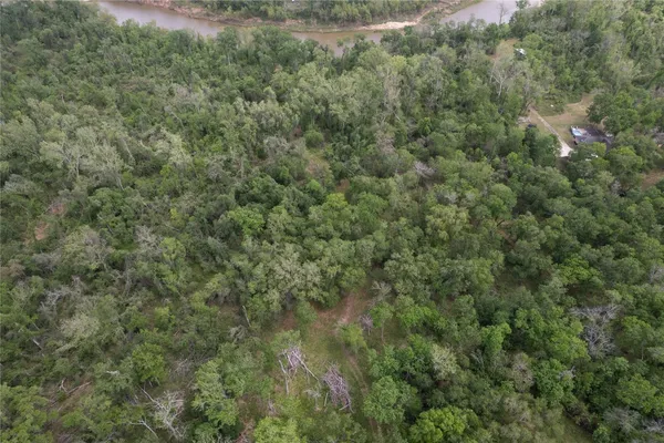 a view of a yard and trees