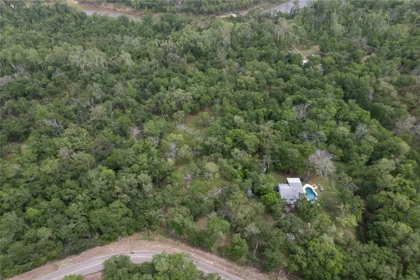 a view of a forest with a street