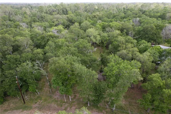 a view of a forest with a street