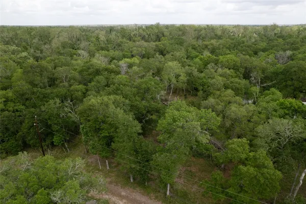 $295,000 | 0 King's Oak Drive, Damon, TX 77430