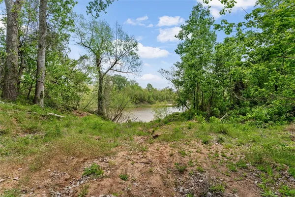 a view of a garden with a tree