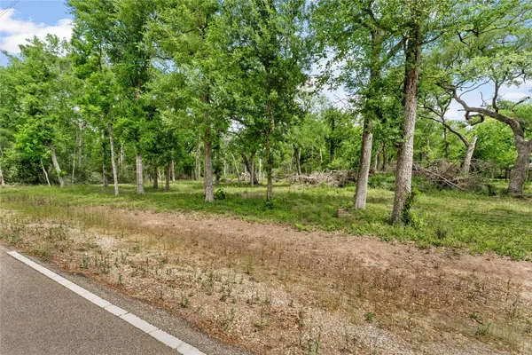 a view of a park with large trees