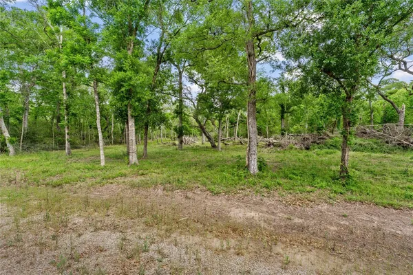 a view of outdoor space with trees