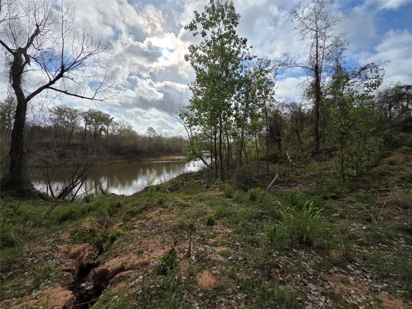 a view of a yard next to a house