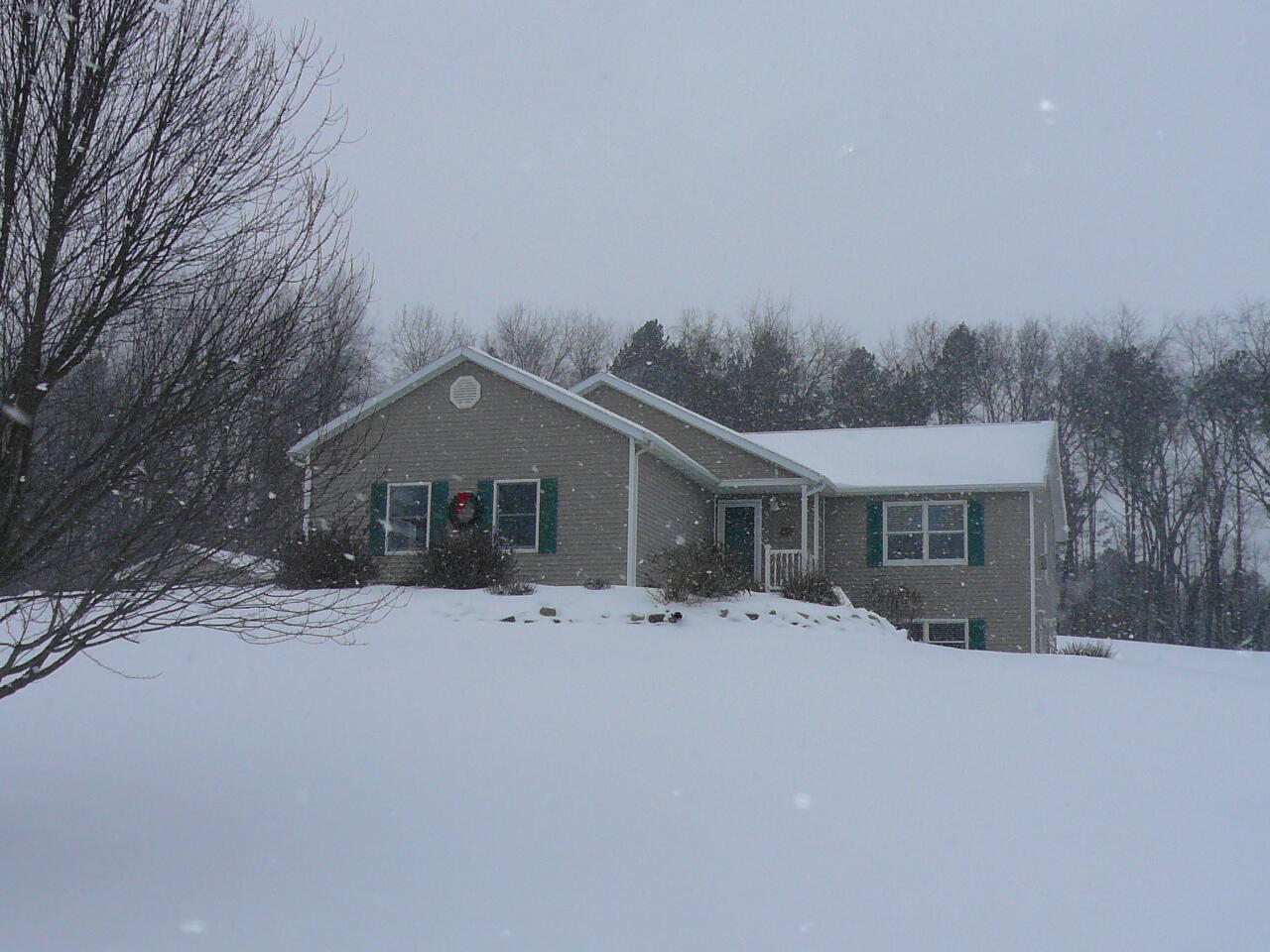 8369 Prairie View Lane Alto, MI 49302 - Photo 3 of 30 003