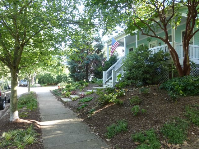 529 Watauga Street Raleigh, NC 27604 - Photo 3 of 24 Photo 3