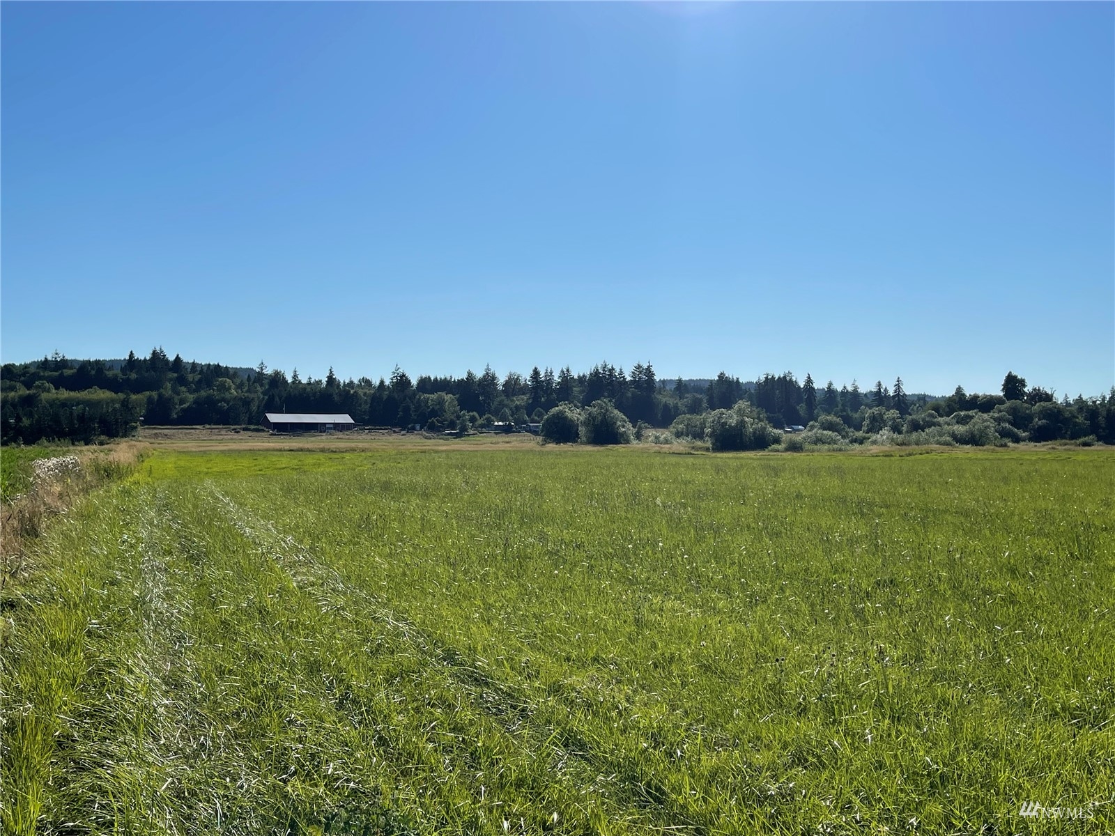 341 South Bank Road Elma, WA 98541 - Photo 16 of 40 Gallery Image 16