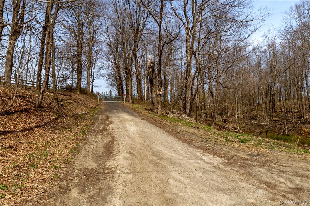 Old Quaker Hill Road Pawling, NY 12564 - Photo 5 of 10 a view of a yard with trees