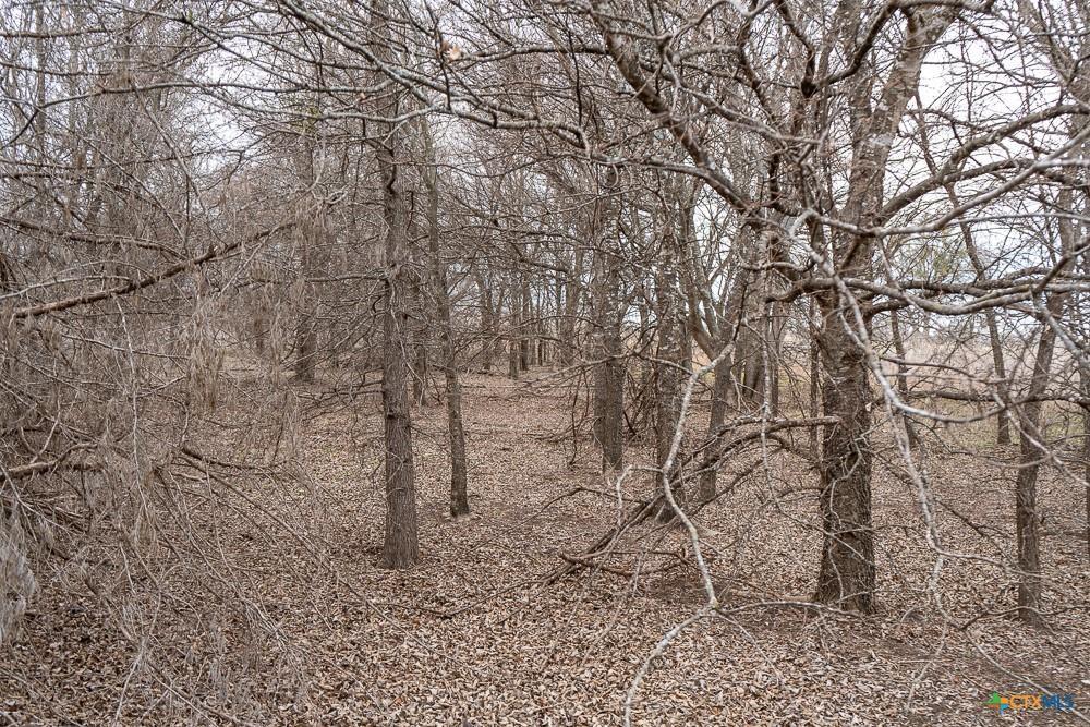 0 McLennan Road Troy, TX 76579 - Photo 14 of 35 Gallery Image 14