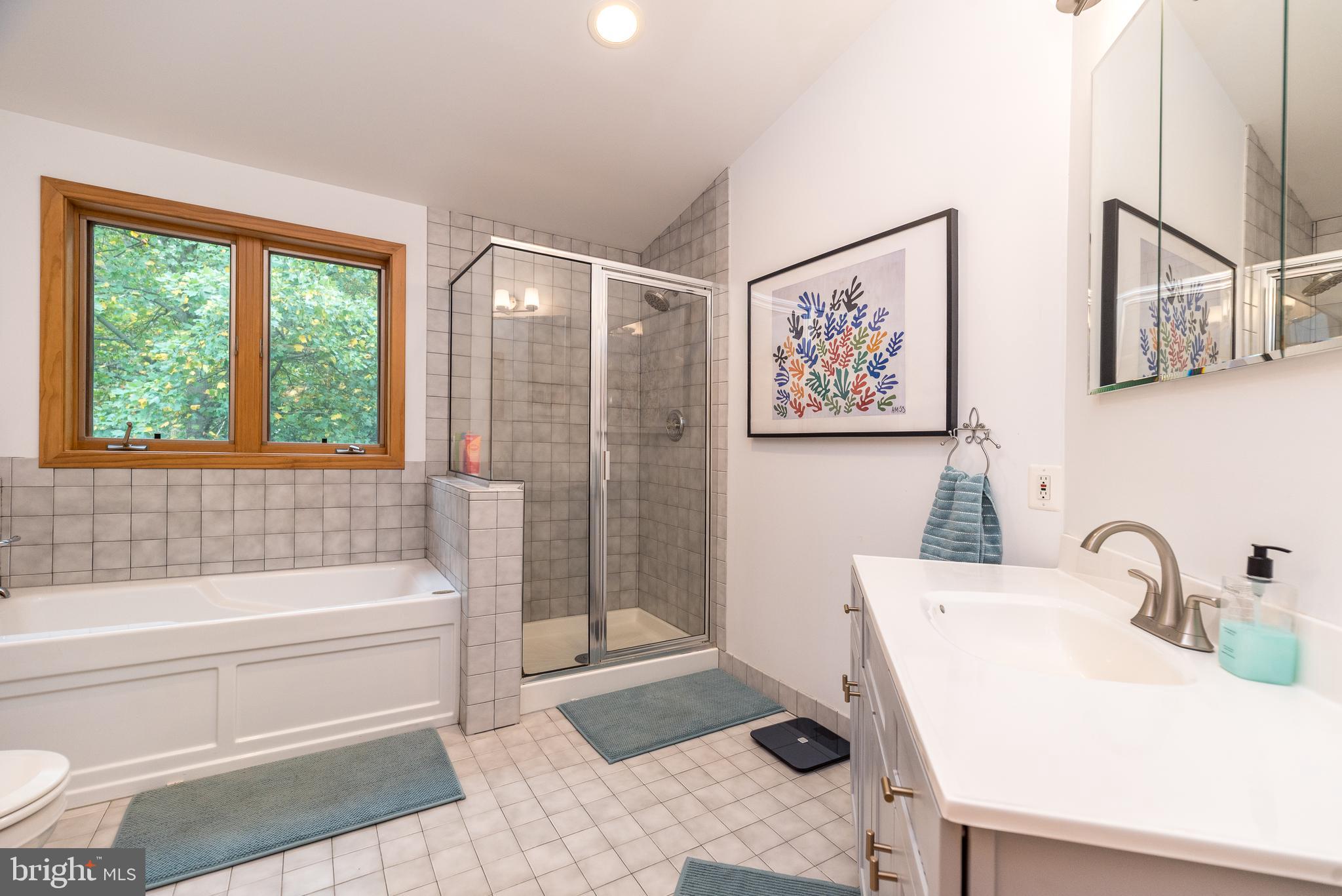 44 Yale Avenue Swarthmore, PA 19081 - Photo 35 of 47 Full shower and tub