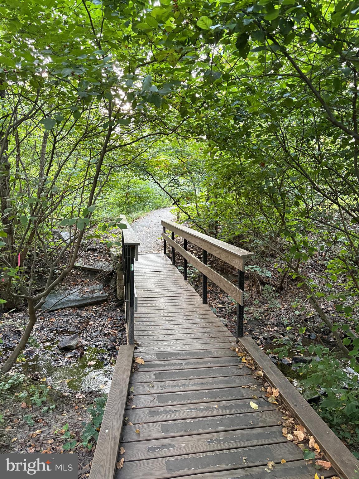 44 Yale Avenue Swarthmore, PA 19081 - Photo 43 of 47 Walk to Little Crum Creek Park.