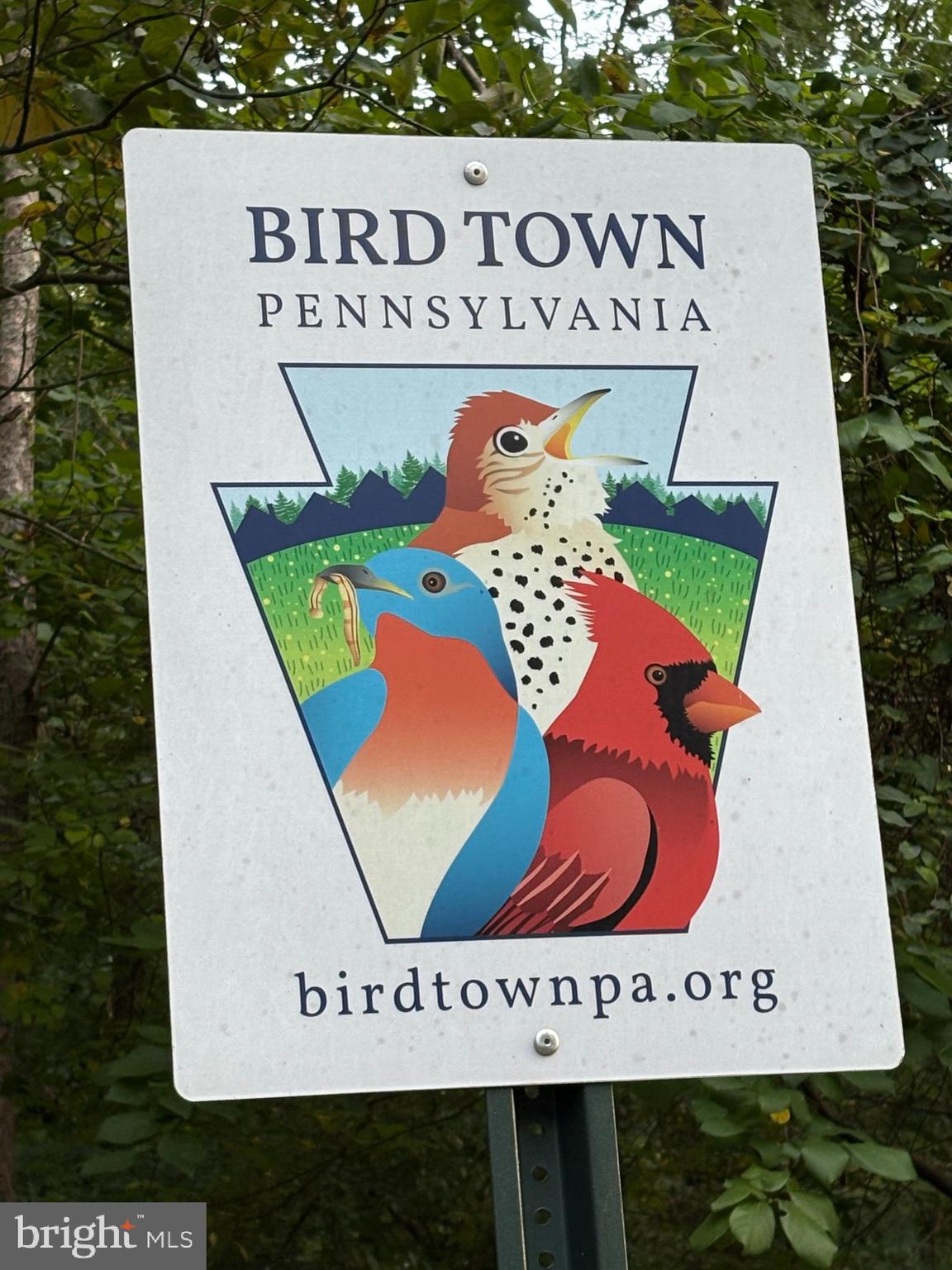 44 Yale Avenue Swarthmore, PA 19081 - Photo 44 of 47