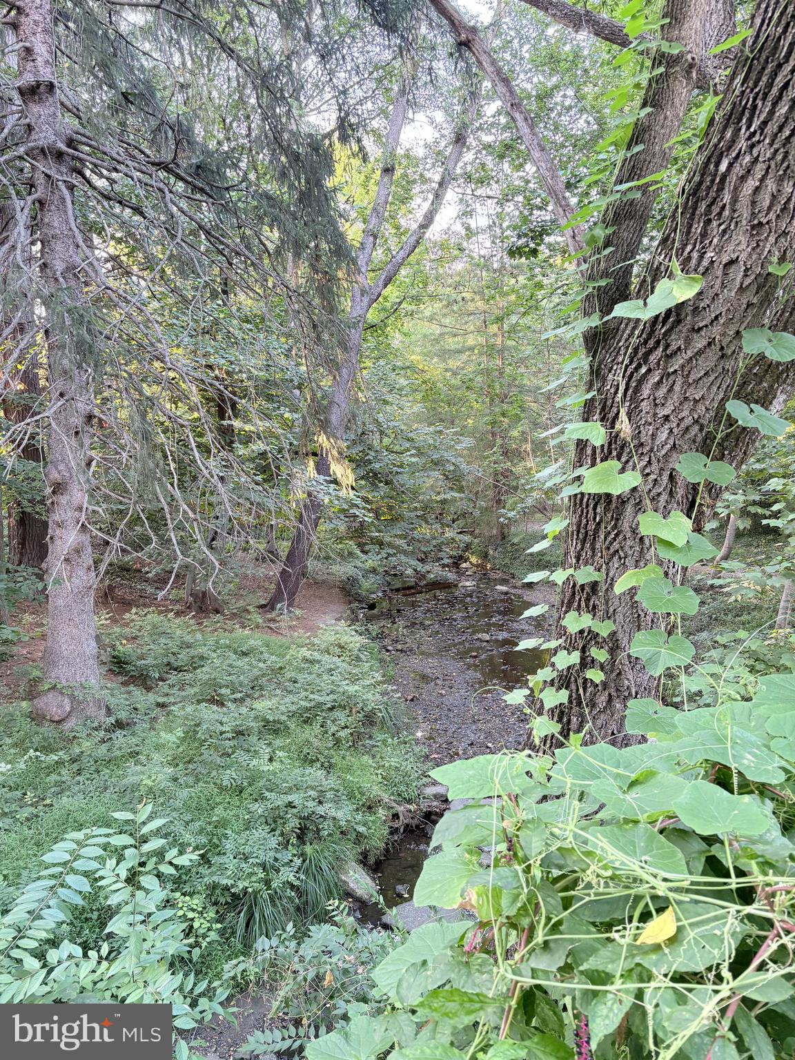 44 Yale Avenue Swarthmore, PA 19081 - Photo 46 of 47