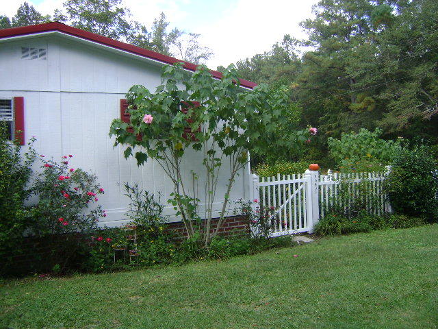 DSC02169 025