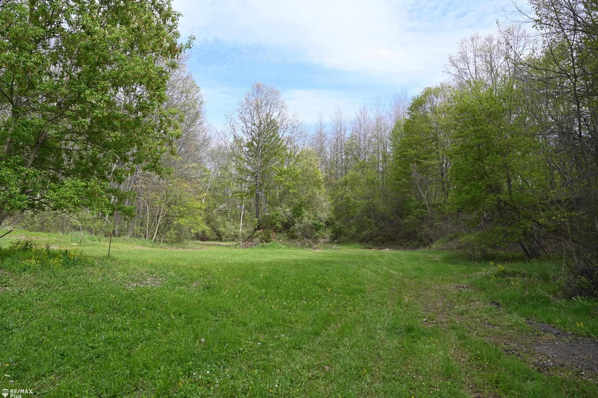 0 Miller Lake Road Columbiaville, MI 48421 - Photo 8 of 33