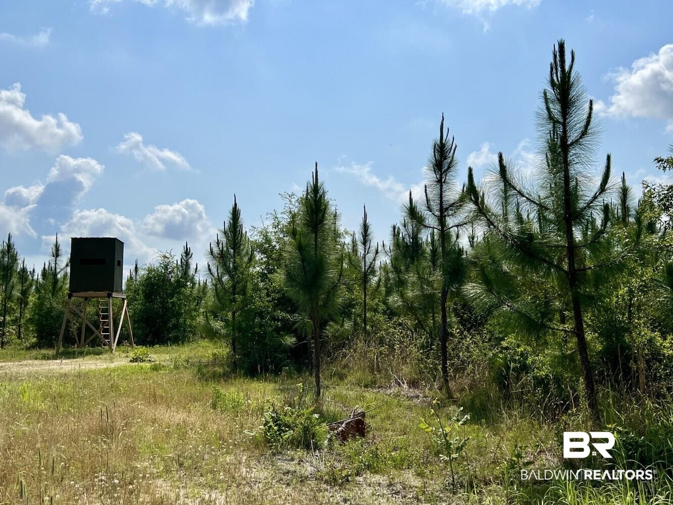 0 Private Road Citronelle, AL 36522 - Photo 21 of 27