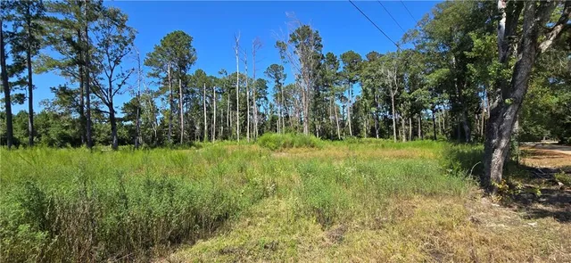 $19,900 | 80 La Highway, Holden, LA 70744