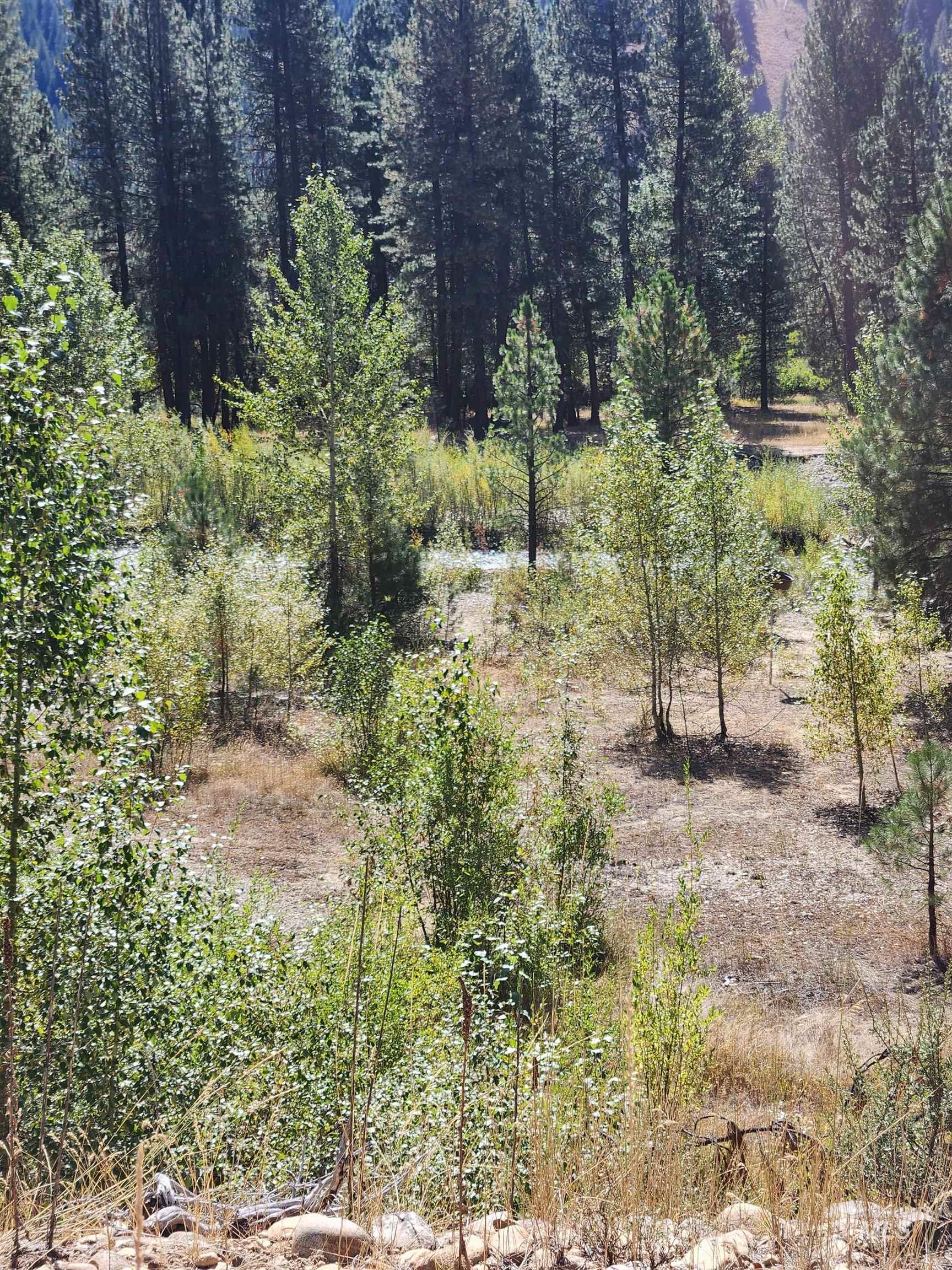 Tbd East River Road Mountain Home, ID 83647 - Photo 7 of 11 Gallery Image 7