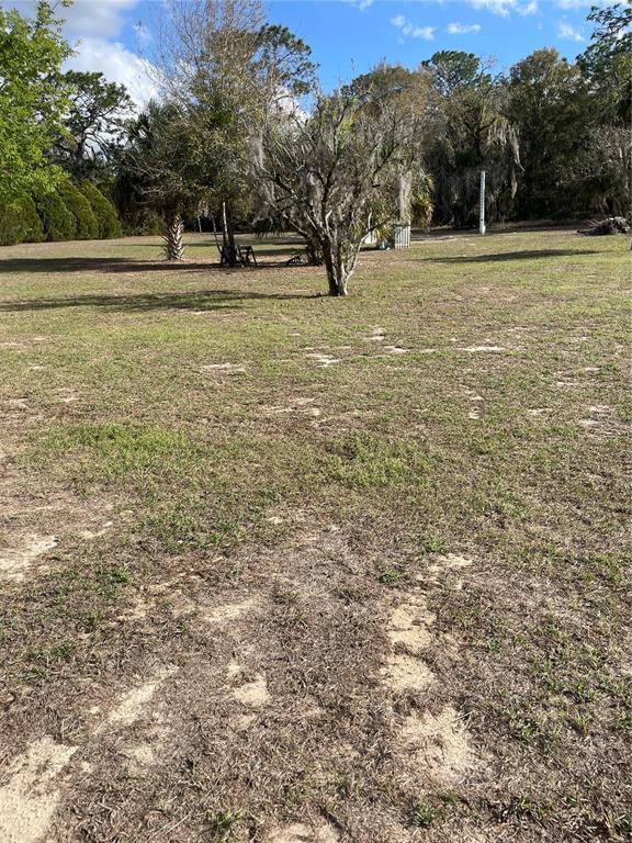 5674 West Grovepark Road Dunnellon, FL 34433 - Photo 11 of 12