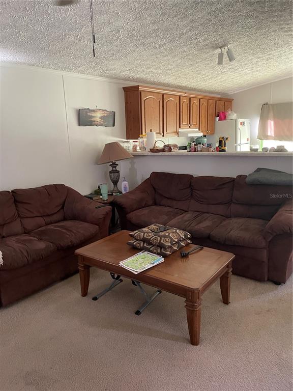 5674 West Grovepark Road Dunnellon, FL 34433 - Photo 3 of 12