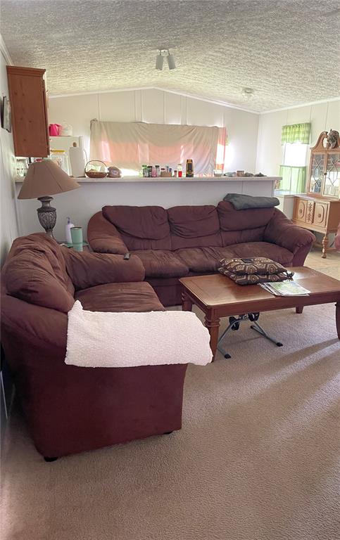 5674 West Grovepark Road Dunnellon, FL 34433 - Photo 4 of 12