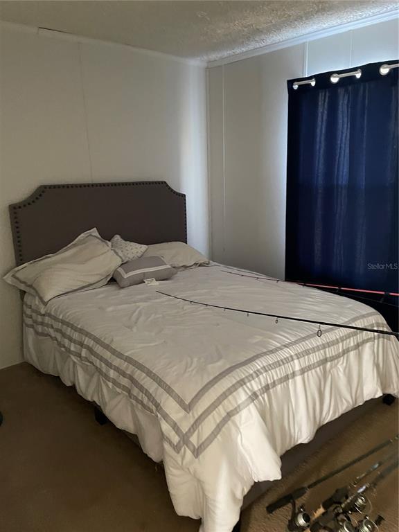 5674 West Grovepark Road Dunnellon, FL 34433 - Photo 9 of 12