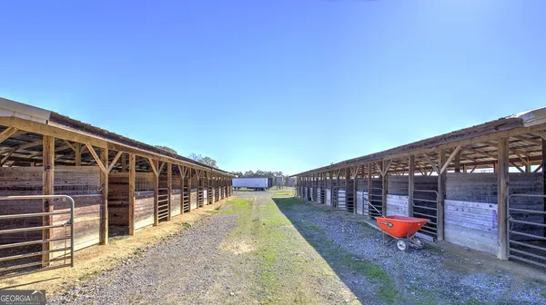 a view of yard