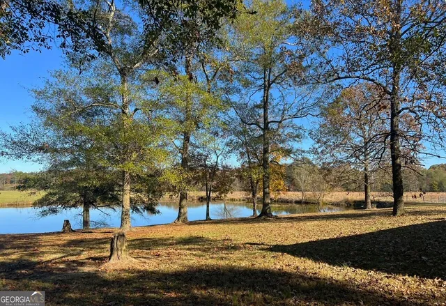 a view of a yard with large trees