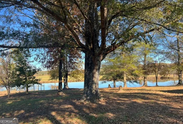 a view of a swimming pool with a yard
