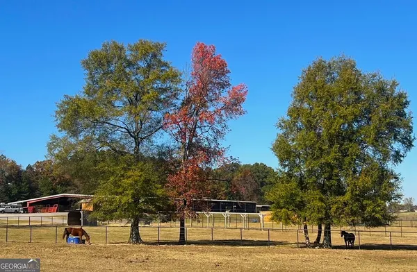 a view of a water fountain and a tree