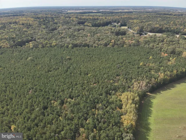 an aerial view of mountain with trees